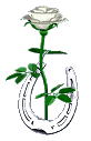 Прикрепленное изображение: monthly_01_2010/post-6633-1264799436.gif