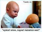 Прикрепленное изображение: 771.jpg