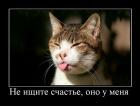 Прикрепленное изображение: image.jpeg