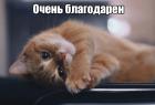 Прикрепленное изображение: Очень благодарен.jpg