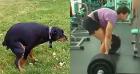 Прикрепленное изображение: 234.jpg