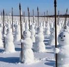 Прикрепленное изображение: v-grenlandii_14311.jpg