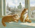 Прикрепленное изображение: MiQtSwScQ38.jpg