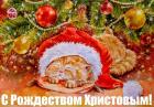 Прикрепленное изображение: ruuaa99a6431a.jpg