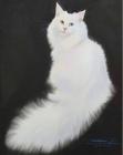 Прикрепленное изображение: Чатчвaρн Рyксɑ. ''Беʌый кοт'', 38x28, aкварeʌь, 2024 г..jpg