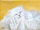 Прикрепленное изображение: img4373502.jpg
