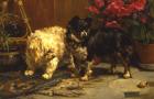 Прикрепленное изображение: charles_van_den_eycken_a2910_surprise.jpg