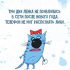 Прикрепленное изображение: Три дня после НГ.jpg