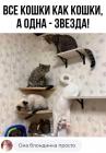 Прикрепленное изображение: Кошка - блондинка.jpg