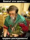 Прикрепленное изображение: 14750.jpg