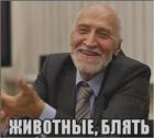 Прикрепленное изображение: Животные блять.jpg