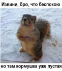 Прикрепленное изображение: post-13171-0-86442000-1612642285.jpg