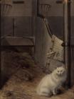Прикрепленное изображение: cNXlj2PnZSM (Lady Charlotte Schreiber).jpg