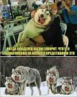 Прикрепленное изображение: 474620450_612189655070959_3237956424651646224_n.jpg