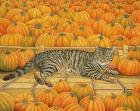 Прикрепленное изображение: Ditz-Ditz-Russian-Cat-Meister-Drucke-554719.jpg
