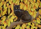 Прикрепленное изображение: 2-Ditz-Ditz-Autumn-Leaves-1994-Meister-Drucke-555748.jpg
