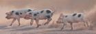 Прикрепленное изображение: mcewangallery-andrew-hutchinson-rms-three-little-pigs-2023.jpg