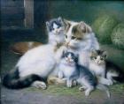 Прикрепленное изображение: s9C96186-koshka-s-kotyatami-23.jpg