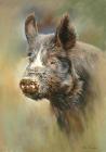 Прикрепленное изображение: peter-barker-britain-painting-wooarts-24_hf.jpg