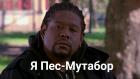 Прикрепленное изображение: пес7.jpg