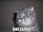 Прикрепленное изображение: hqdefault (2).jpg