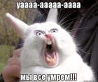 Прикрепленное изображение: pic_334182cee9f.jpg