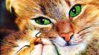 Прикрепленное изображение: images.jpg