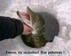 Прикрепленное изображение: 1741873615.jpg