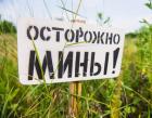 Прикрепленное изображение: Мины.JPG