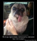 Прикрепленное изображение: ______________.jpg