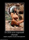 Прикрепленное изображение: image.jpg