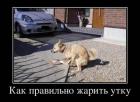 Прикрепленное изображение: 86341086717796998901868787219.jpg