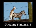 Прикрепленное изображение: 1абб.jpg