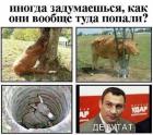 Прикрепленное изображение: 1414183187_1393646385_trs8.jpg