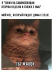 Прикрепленное изображение: Коронавирус - Ты жалок.jpg