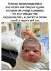 Прикрепленное изображение: 1712737054.jpg