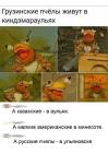 Прикрепленное изображение: Грузинские пчелы.jpg