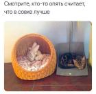 Прикрепленное изображение: 1744709958.jpg
