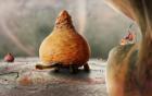 Прикрепленное изображение: Botanicula_16.jpg