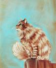 Прикрепленное изображение: watch-cat-anastasiya-malakhova.jpg