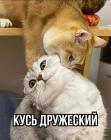 Прикрепленное изображение: 07.jpg