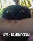 Прикрепленное изображение: 01.jpg