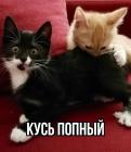 Прикрепленное изображение: 05.jpg