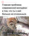 Прикрепленное изображение: BlSOknB_-Nk.jpg