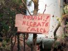 Прикрепленное изображение: _________265.jpg