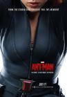 Прикрепленное изображение: these-ant-man-parody-posters-are-literally-just-as-good-as-the-official-releases-456478.jpg