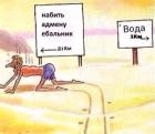Прикрепленное изображение: Набить админу ебальник.jpg