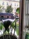 Прикрепленное изображение: IMG_20160804_195201.jpg