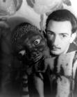 Прикрепленное изображение: Dali2.jpg
