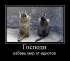 Прикрепленное изображение: 6736.jpg